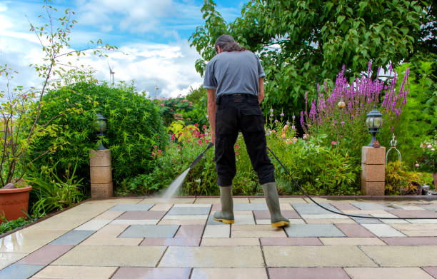 Best Animal Enclosure Cleaning  in Key West, FL